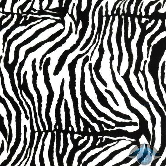 Zebra Print Large Film-AP-00-11