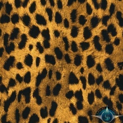 Cheetah Print Film-AP-033