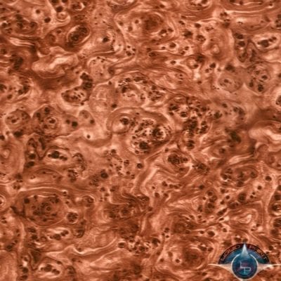 Burlwood Red Tint Film-BW-30-20