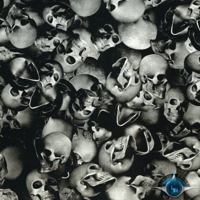 Skulls - Film-DD-937