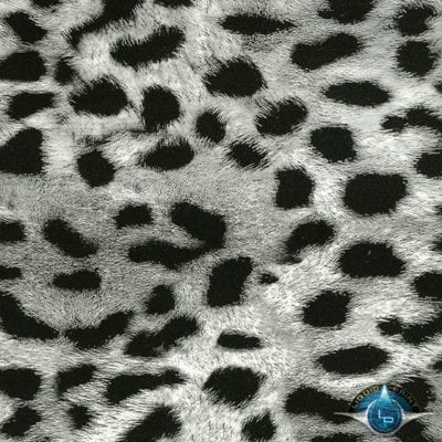 Gray Cheetah - Film-DD-952