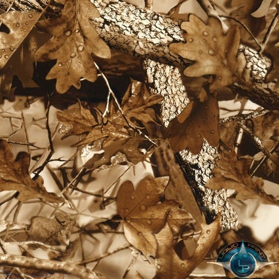 Fall Leaves Brown Film-HC-2-13