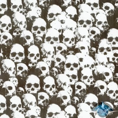 Shadow Skulls Clear Film-LL-296