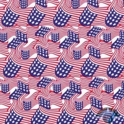 American Flags Film-LL-361