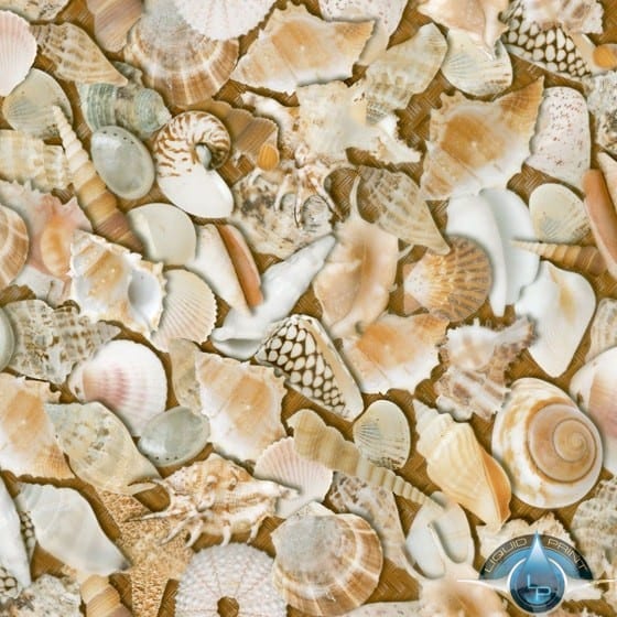 Sea Shells Film-LL-851