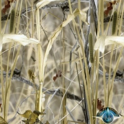 Hunting Attractions Reeds and Weeds Film-RC-111